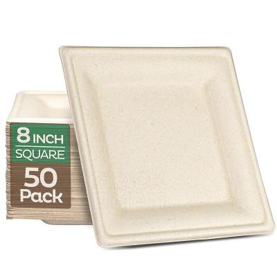 China Biodegradable Heavy Duty Square Disposable Plates for sale