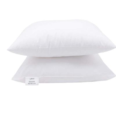 China Sustainable High Quality Soft Quick Cuddle Pillow Ase Comfy Pregnancy Selling Custom Pillow for sale