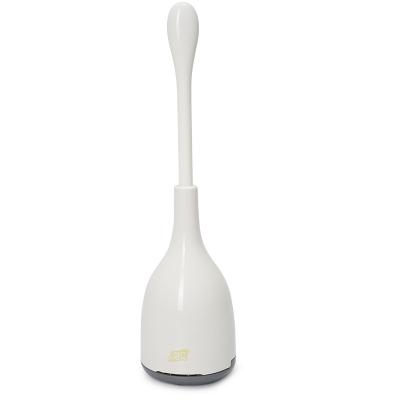 China Modern toilet cleaning brush with holder for sale