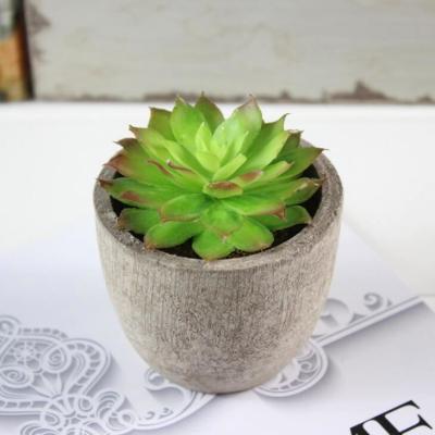 China DR002 simulation plants wholesale minimalist mini artificial stone lotus plant meat bonsai with pot for sale