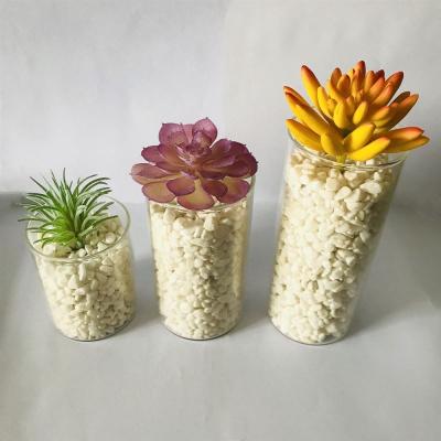 China Lorenda DRS001 Home 3 Pieces Set Potted Flowerpot Glass Bonsai Mini Artificial Succulent Plants for sale