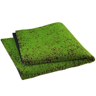 China Wholesale Farm Plant Simulation TAIX002 Plant Wall Lawn Spotted Plastic Green Artificial Moss Decorative Moss for sale