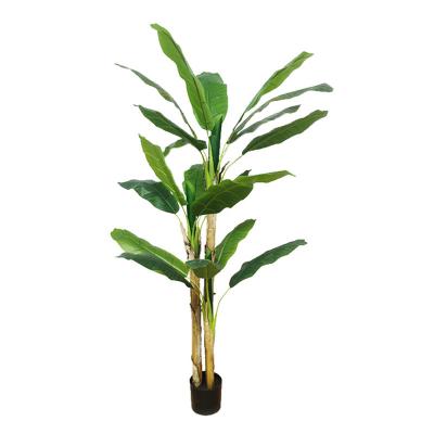 China Real Touch Lorenda 4 Sizes PBJS01 Home Office Hotel Garden Decoration Fake Plastic Potted Artificial Banana Tree for sale