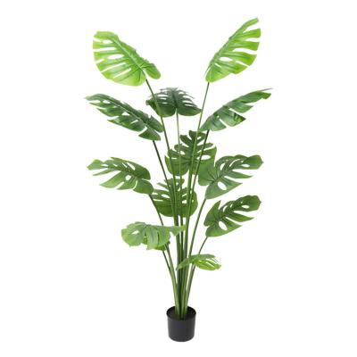 China Real Touch PGBY01 Green Fake Hotel Home Office Plastic Taro Plants Christmas In Pot Indoor Potted Leaf Turtle Artificial Trees Bonsai Tree for sale