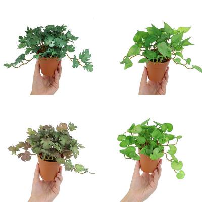 China Real Touch PGB01 New Designed High Quality Soft Plastic Potted Dill Radish Begonia Mini Green Turtle Leaves Artificial Plants In Pots for sale