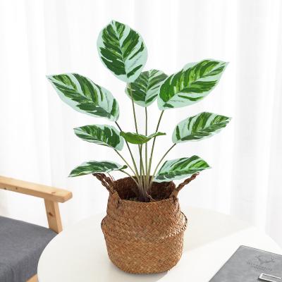 China New Real Touch Style 9 Heads PZY02 Deluxe White Arrowroot Leaves Artificial Plants With Pot Set For Indoor Home Decoration for sale