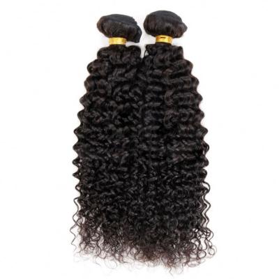 China Thick Curly Plane Curly Lace For Bob Wigs Brazilian Human Hair Raw Virgin Human Hair 360 Cuticle Lined Hair Wigs for sale