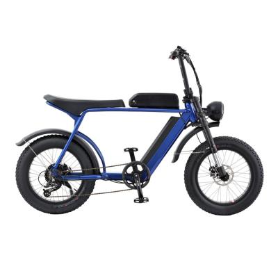 China Wholesale Aluminum Alloy Customized Mountain Bike 48v 750w Electric Bicycle Good Quality for sale