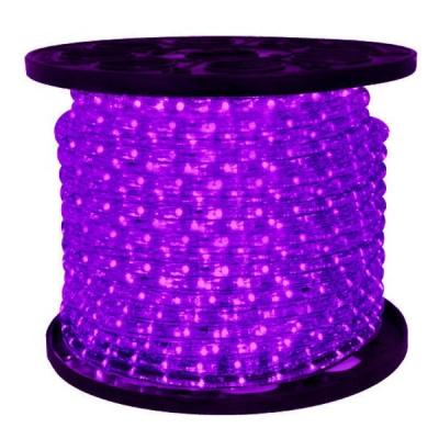 China Purple Holiday/Christmas/New Year/Wedding Decoration LED Rope Light For Decoration for sale