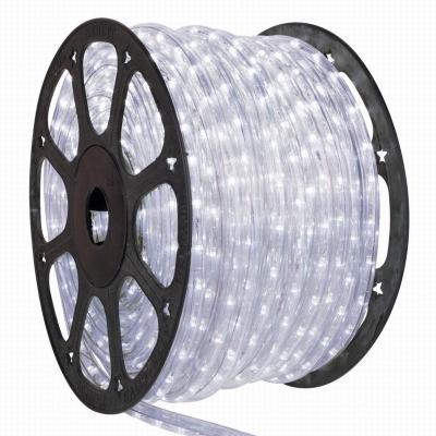 China Cool White Garden/Landscape/Theme Park /Hotel/Building LED Rope Light for sale