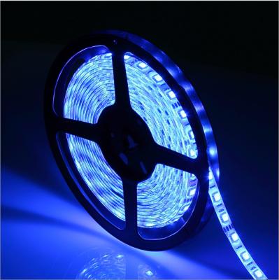 China Building Garden Light Extension Strip IP 68 SMD 5050 LED High Brightness Indoor and Outdoor Decoration for sale