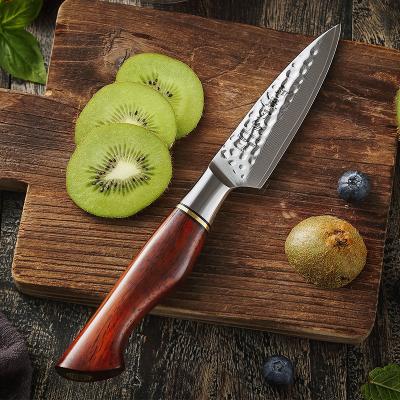 China Sustainable Professional 3.5in Damascus Core 14Cr Steel Powder Kitchen Paring Knife for sale