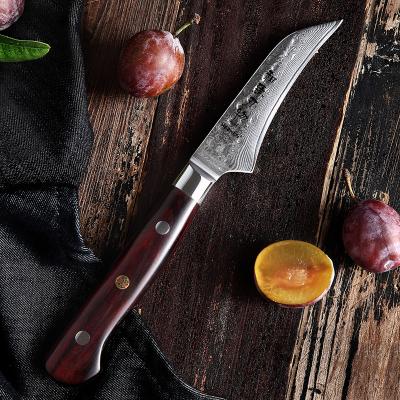 China Stocked 3.5 Inch - Tall - End Japanese Damascus Steel Kitchen Paring Knife for sale