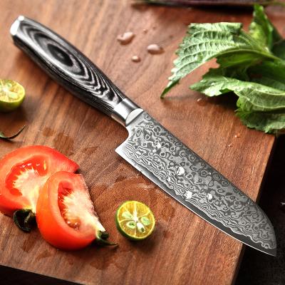 China Viable Professional Japanese Steel Damascus Kitchen Santoku Chef Knife 5 Inch for sale