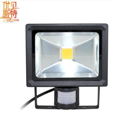 China Wholesale Outdoor High Power 10w 20w 30w 50w 100w Led Flood Lighting 240v PIR Sensor Passive Infrared Light Energy With Inductor for sale