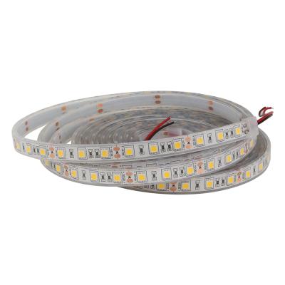 China Hot Selling LANDSCAPE Decoration SMD5050 IP65/IP66/IP68 Outdoor Waterproof 12V Cable Led Strip Light Warm White for sale