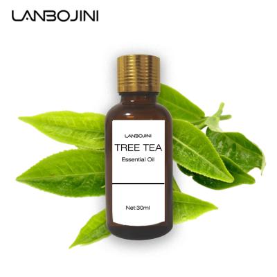 China Skin Revitalizer Tea Tree Essential Oil Vegan 100% Pure Organic Herbal Essential Oil Best Natural Relieve Fatigue Essential Oil for sale