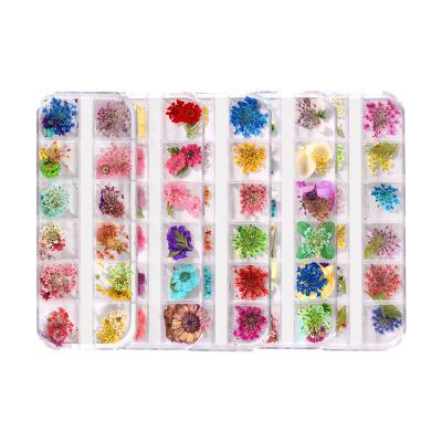 China 12 Colors Nail Dry Flower Set, Big Nail Art Dry Flower Decoration for sale