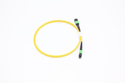 China OM3/OM4 MPO Connector Patch Cord 12 Fiber MPO Trunk Cable 8/12/24F MTP MPO Cable voor Data Center Room Te koop