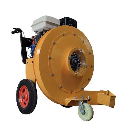 China Construction worksÂ   Concrete Road Cleaning Machine Asphalt Pavement Dust Leaves Blowers Hand-Push Road Hair Dryer for sale