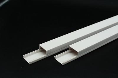 中国 PVCケーブルトランキング 30X17mm 2ケーブルトランキングシステム 販売のため