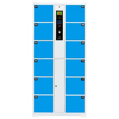 China Smart Digital Factory Price Home Delivery Lockers Indoor Metal Parcel Delivery Locker Te koop