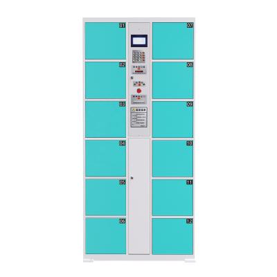 China Hot Selling Digital Steel 12/24/36 Door Swimming Pool Coin Lockers Public Storage Cabinet Smart Cabinet Te koop