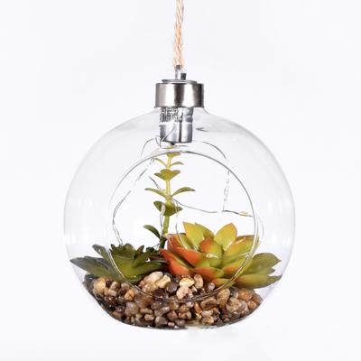 China Europe Hanging Glass Dome With LED Lights Dummy Succulent Plant for sale