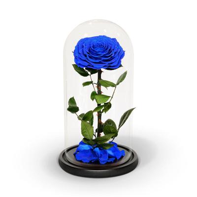 China Holiday decoration & Gift preserved fresh roses in glass dome 12*20 cm with gift box for sale