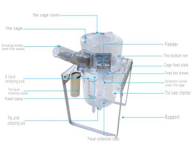 China Polycarbonate Metabolism Rat Cage Laboratory Metabolic Cages for sale