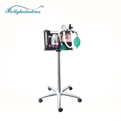 China Item HISV-D Desktop And Mobile Type Pet Veterinary Anesthesia Machine For Dog And Cat Lab Instrument for sale