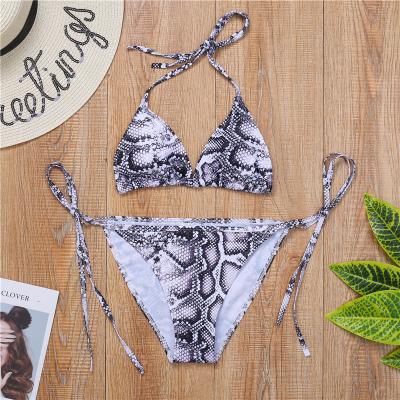 China Swimwear Breathable Sexy Snakeskin Print Micro Bikini Sets Triangle Bikini Popular Girl Swimsuit for sale