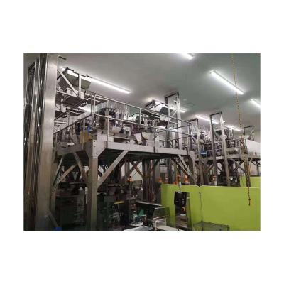 China High Accuracy Food Stainless Steel Dates Packing Production Line Packing Machine for sale