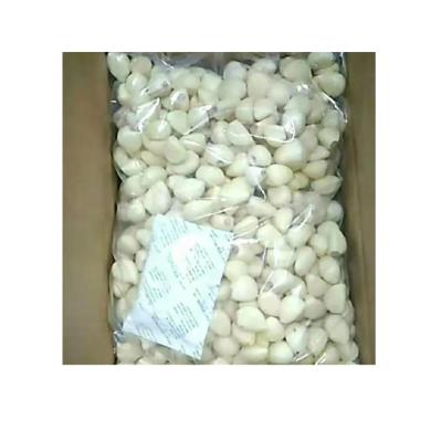 China Healthy Wholesale Fresh White Garlic For Sale For Export China Fresh Food Natural Garlic for sale