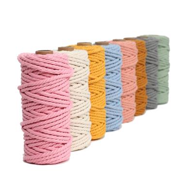 China Excellent Quality Sustainable Hot Selling Multi Color Custom Made Braided Rope for sale