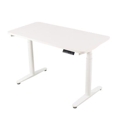 China (Size) Nate Modern Adjustable Dual Motor Adjustable Electric Sit To Stand Desk Position Desk Workstation for sale