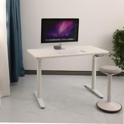 China (Size)Nate Electric Computer Table Adjustable Sit And Stand Up Desk With Dual Motor for sale