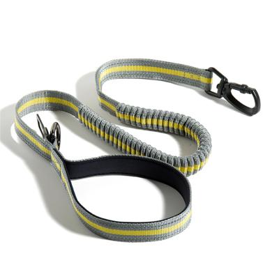 China Sustainable Promotional Chain Pet Training Wear Resistant Pet Supplies Dog Leash With Bag for sale