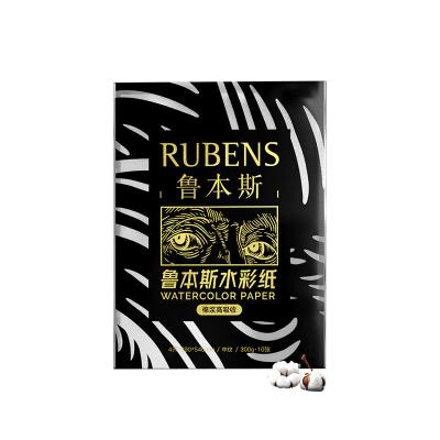 China Excellent Cotton Paul Rubens Artist Grade Water Absorption 300g 100%cotton Watercolor Paper for sale