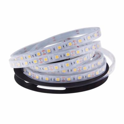 China Hotel IP68 Waterproof LED Strip 5050 DC12V 60 LED/M High Quality Silicon Tube Outdoor / Under Water LED Strip. for sale