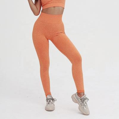 China Breathable Designer Clothes Women Hot Selling Multicolor Sexy Seamless Butt Fitness Sports Women Yoga Lifting Pants for sale