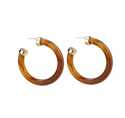 China Large CLASSIC Transparent Clear Resin Hoop Earrings Hypoallergenic No Itch Clear Acrylic Hoop Earrings For Women for sale