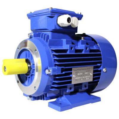 China drip-proof three-phase asynchronous electric motor YE2 for sale