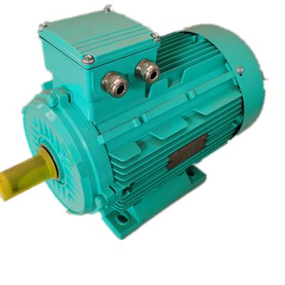 China Ye3-225m-6 Ultra-high Efficiency Three Phase Asynchronous Motor Explosion Proof for sale