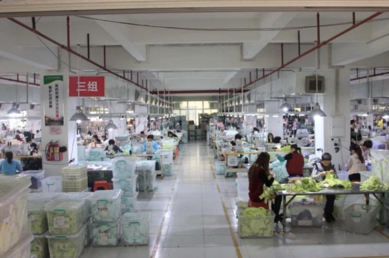 Verified China supplier - Shantou Chaoyang Gurao Yiyumei Underwear Firm