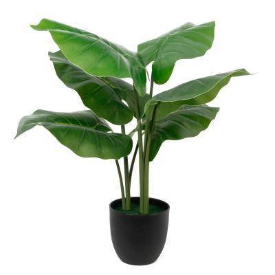 China Real Touch Environment Friendly Artificial Plant 60cm 8 Leaves Wild Taro Bonsai Plants Artificial Garden Tree for sale