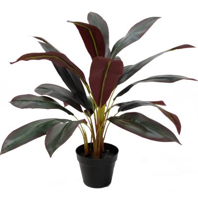 China Excellent Environmentally Friendly Plant Cordyline 21Leaves 65CM Tree Artificial Bonsai Decorative Plant For Outdoor Indoor Home for sale