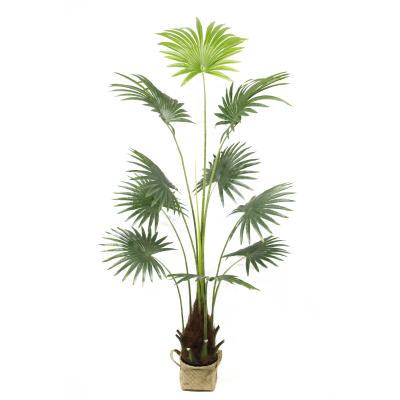 China Excellent Environmental Friendly Artificial Plant 180CM 10 Leaf Fan Palm Bonsai Stand Real Touch Plants Decorative For Outdoor Indoor Home for sale