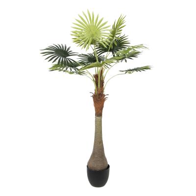 China Excellent Environmental Friendly Artificial Plant 145CM 12 Leaf Fan Palm Bonsai Stand Decorative Real Touch Plants For Indoor Outdoor for sale