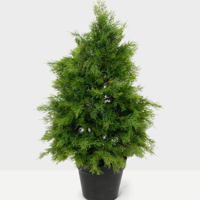 China Professional High Quality Environmental Friendly Artificial Plant 60cm 13 Branch Pine and Cypress Bonsai Plants Decorative for Outdoor Indoor Home for sale